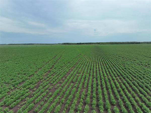 De Kalb, TX 75559,TBD County Road 3302