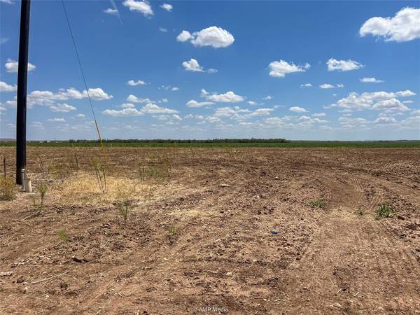 TBD 19 PR Circle T, Hawley, TX 79525