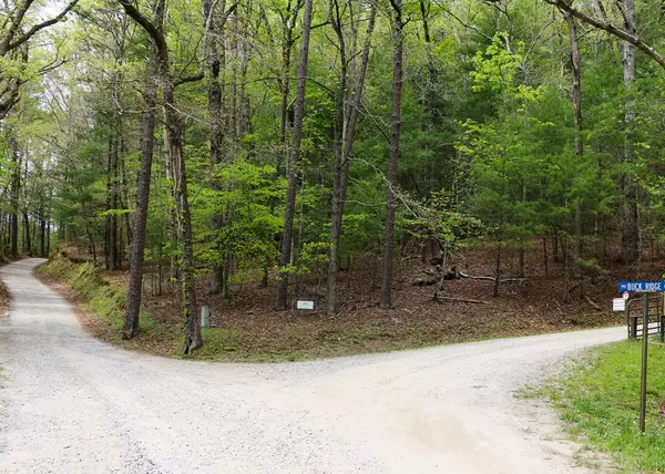 Suches, GA 30572,Lot 134 Buck Ridge Road