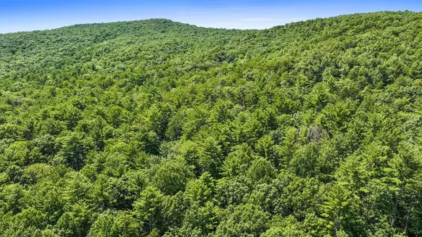 Cherry Log, GA 30522,3072 Stanley Creek Road