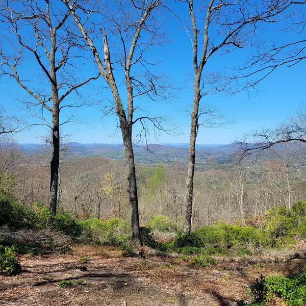 LOT 20 Summit Dirve, Hayesville, NC 28904