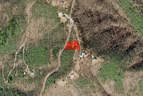 Hayesville, NC 28904,LOT 20 Summit Dirve