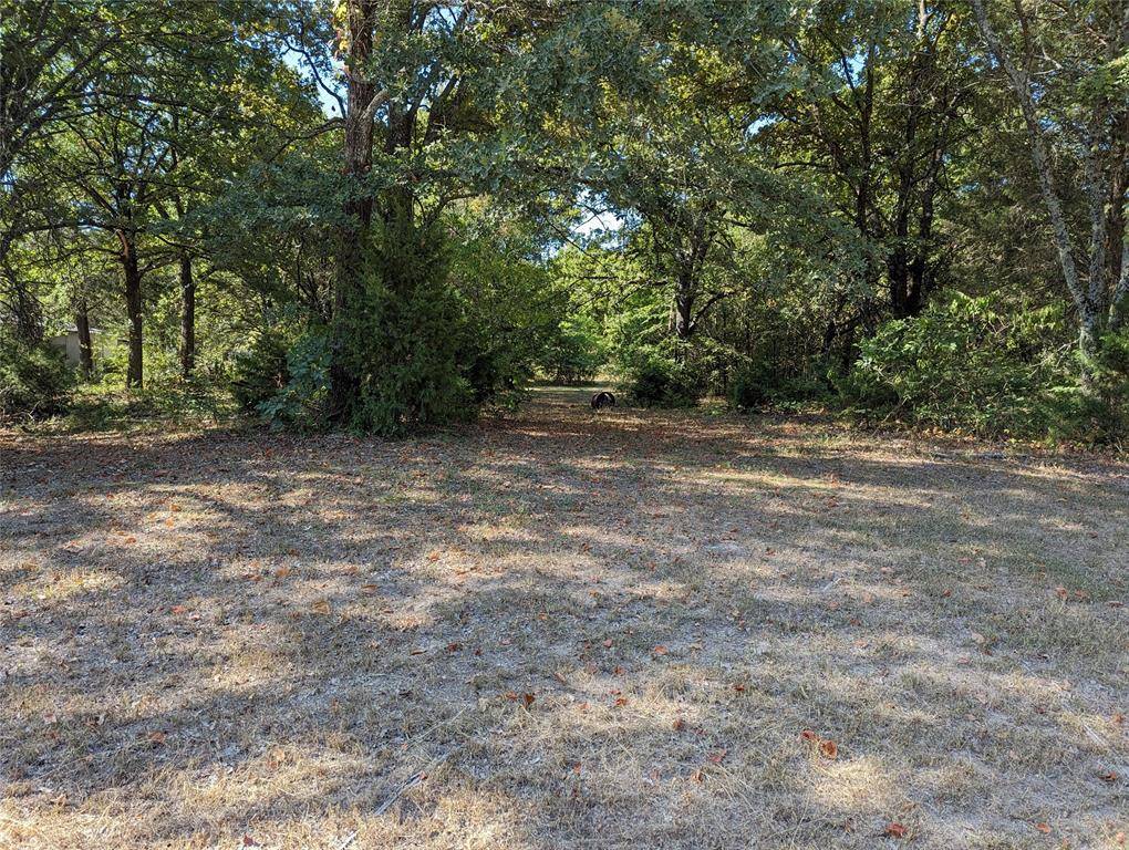 Mabank, TX 75156,105 Forest Lane