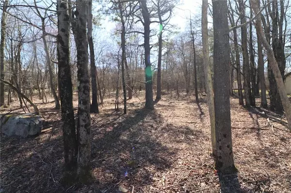 Penn Forest Township, PA 18210,Lindbergh Circle #Lot 1978