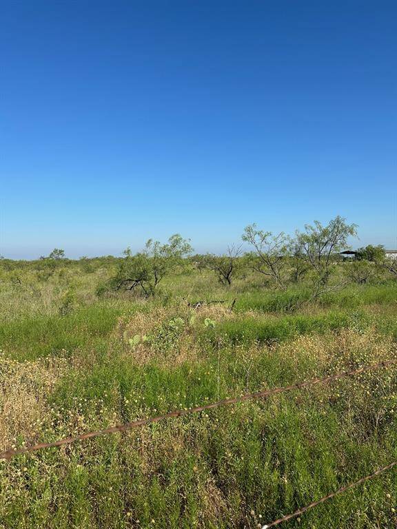 Abilene, TX 79601,Tract 20 CR 155