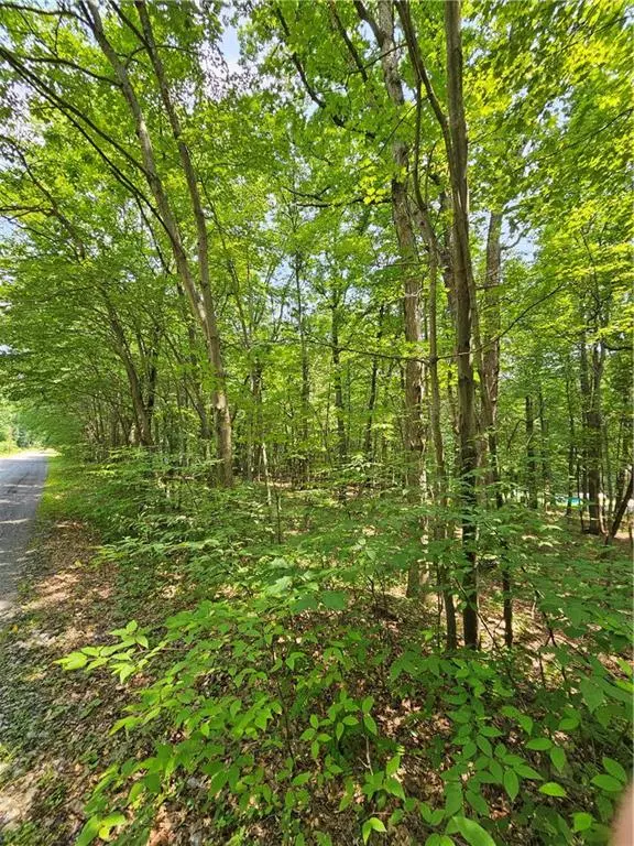 Mahoning Township, PA 18235,Dowbush Road