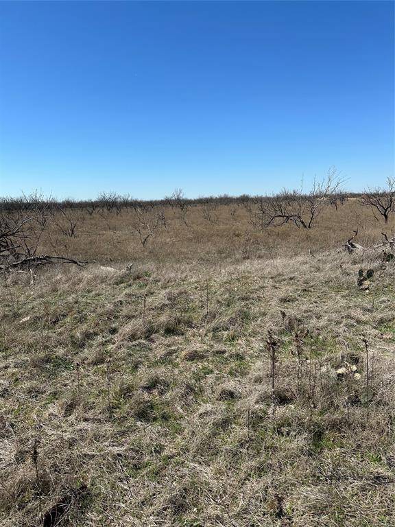 Abilene, TX 79601,Tract 20 CR 155