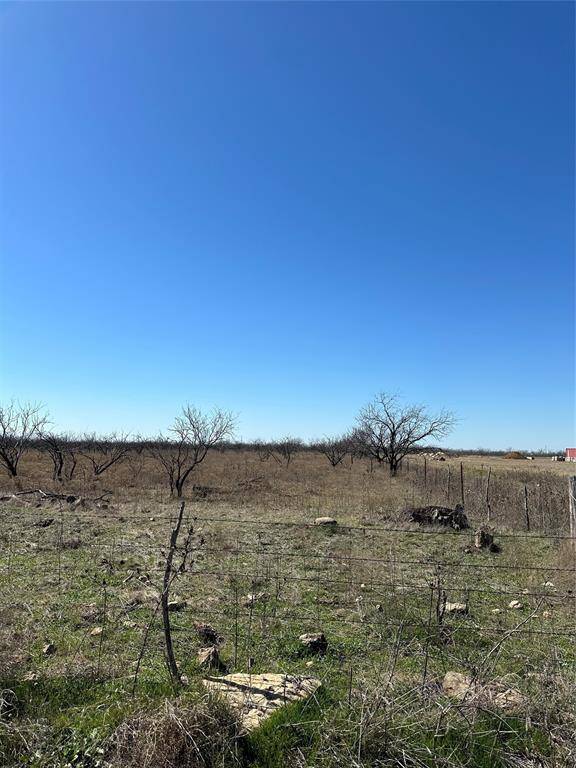 Abilene, TX 79601,Tract 20 CR 155