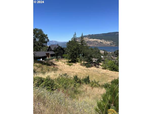 Mosier, OR 97040,775 Fifth AVE #23