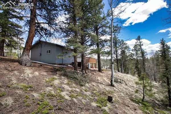 1107 E Bison Creek TRL, Divide, CO 80814