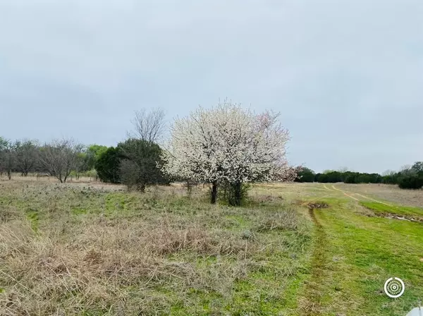 Brock, TX 76087,none TBD old dennis