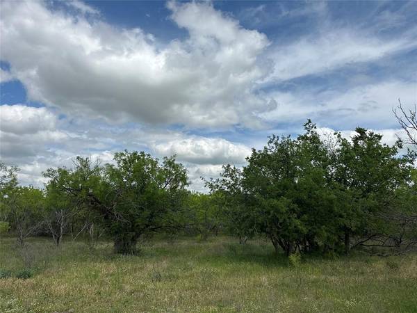 Abilene, TX 79601,Tract 15 CR 150