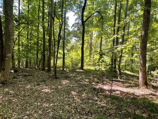 Lot 11B Grandview Drive, Hayesville, NC 28904