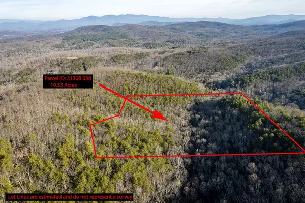 Ellijay, GA 30536,0 Mealer Road