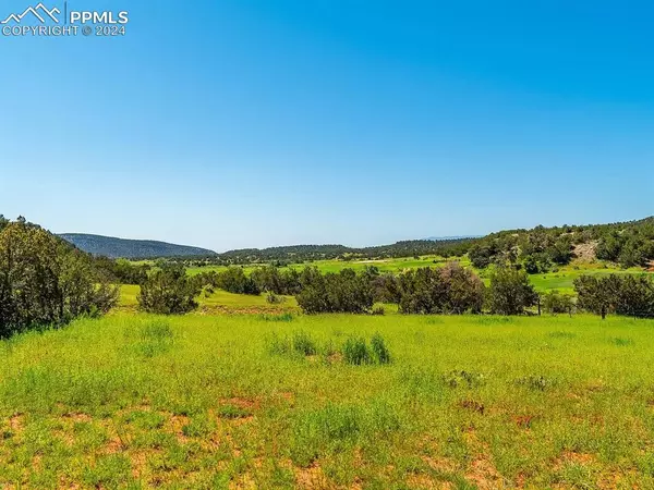 Canon City, CO 81215,Lot 10 Rice Mountain WAY