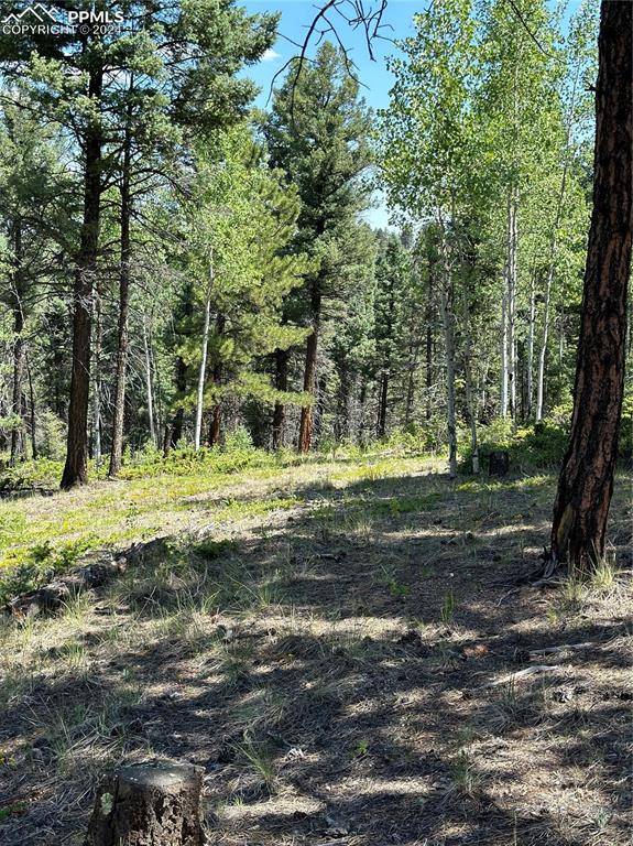 337 Insmont LN, Florissant, CO 80816