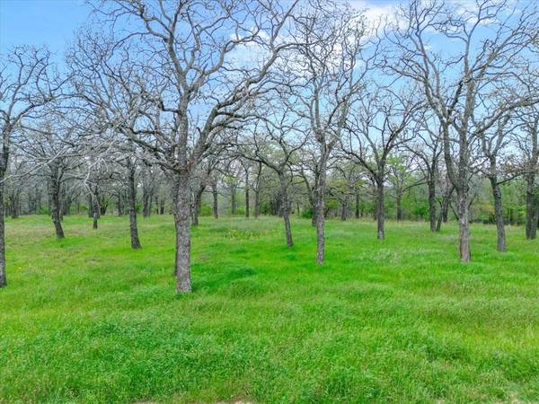 Weatherford, TX 76088,Lot 29 Vaquero Drive