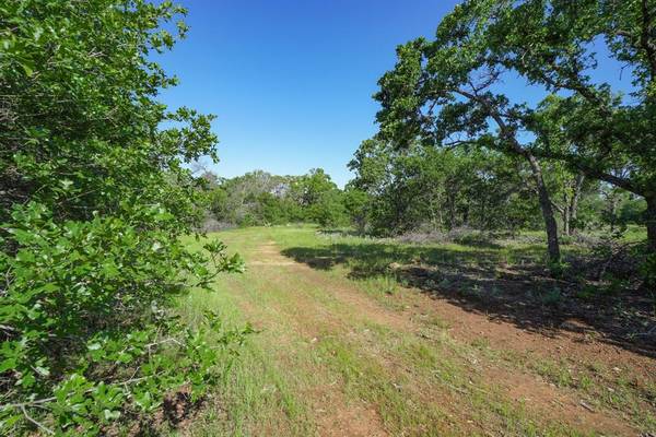 Gordon, TX 76453,TBD Lot 41.7 Clayton Mountain Road