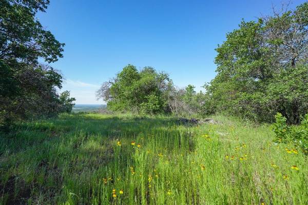 Gordon, TX 76453,TBD Lot 41.7 Clayton Mountain Road