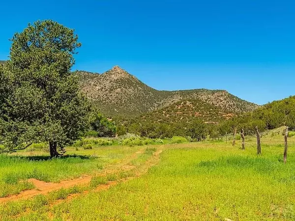 Canon City, CO 81215,Lot 10 Rice Mountain Way