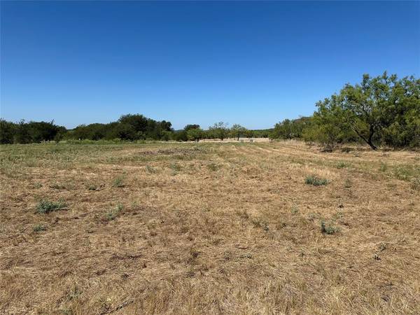 Graford, TX 76449,260 Cinnamon Teal