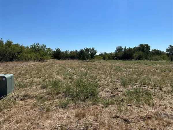 Graford, TX 76449,260 Cinnamon Teal