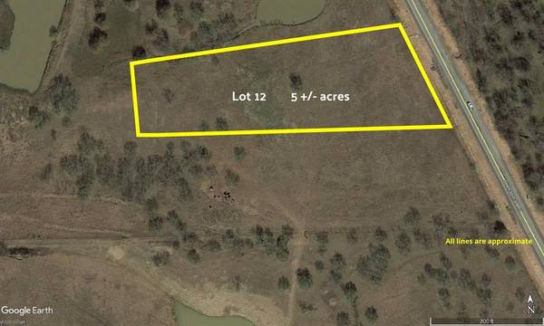 Lot 12 FM 455, Sanger, TX 76266