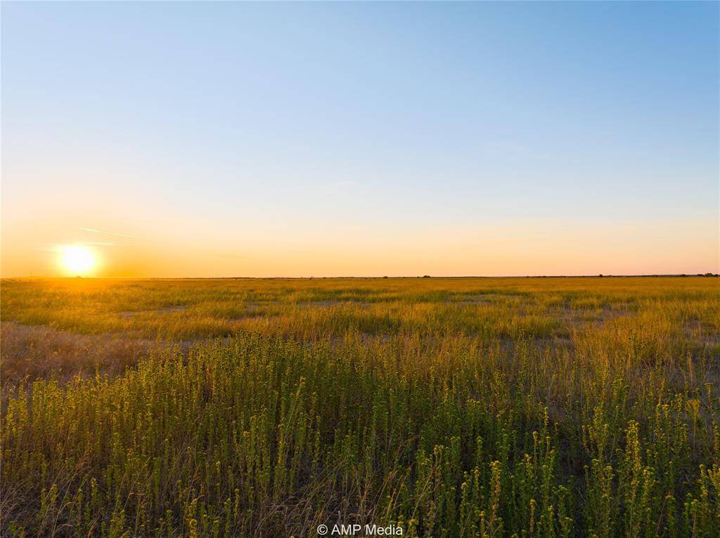 Abilene, TX 79601,Lot 8 County Road 503