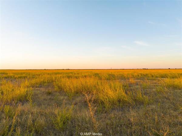 Abilene, TX 79601,Lot 8 County Road 503