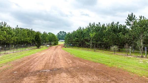 TBD Hack Berry Road, Gilmer, TX 75644