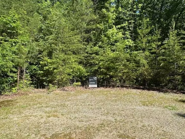 Lot 6 Marjorie Ave, Ellijay, GA 30540