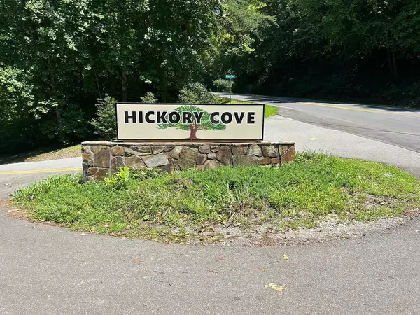 25 Hickory Cove Road, Jasper, GA 30143