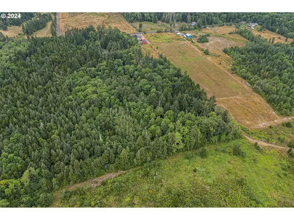 332 BOONE RD Toledo, WA 98591