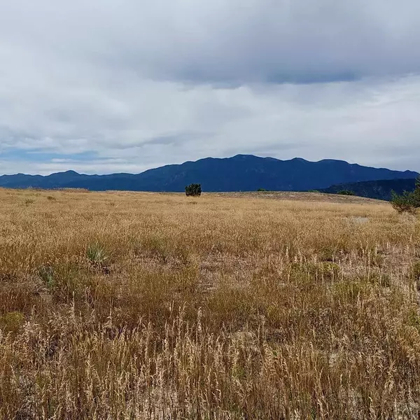 Lot 1100 Plum Creek Way, Colorado City, CO 81019