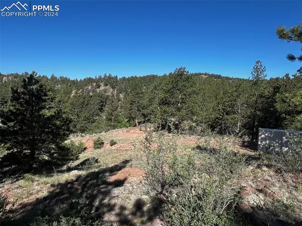 Guffey, CO 80820,77 Ponderosa DR