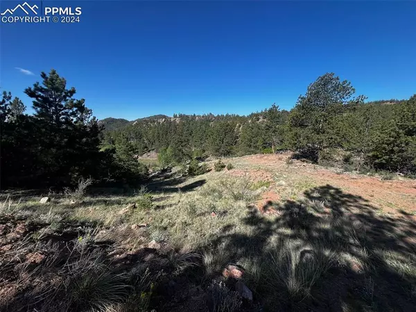 Guffey, CO 80820,77 Ponderosa DR