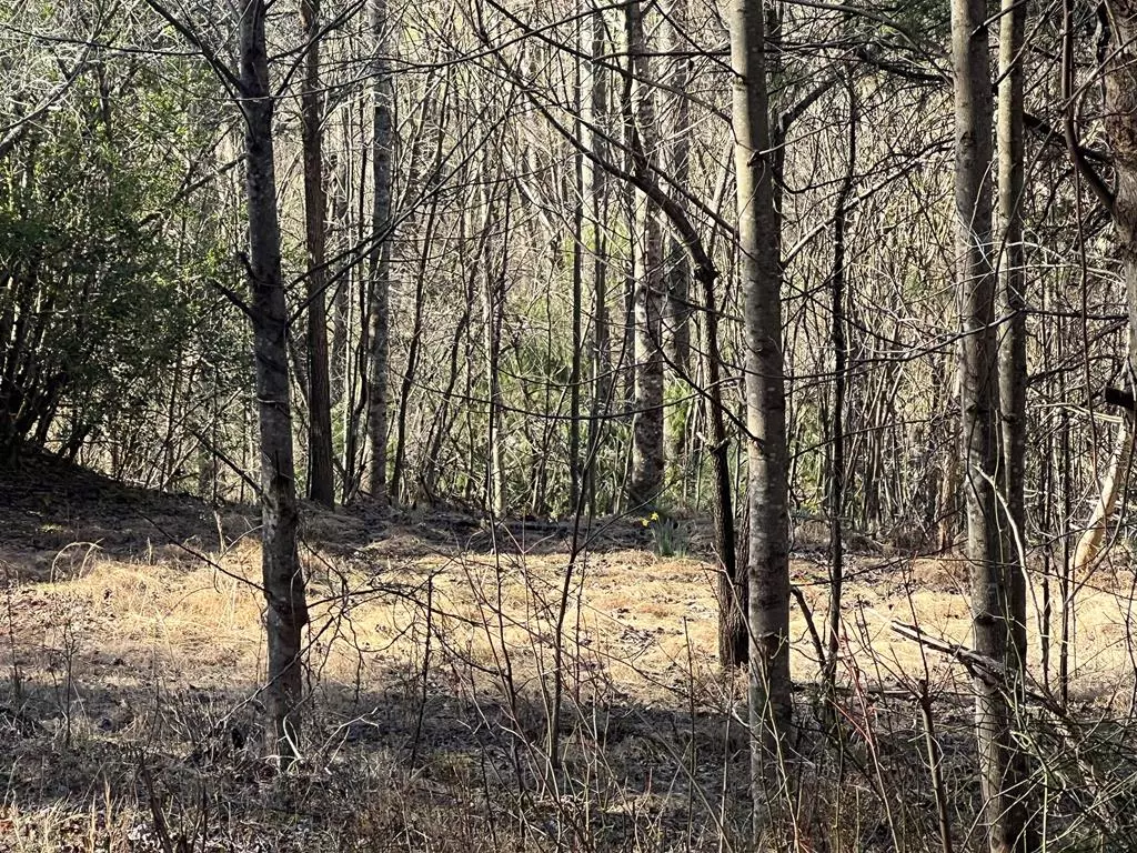 Hayesville, NC 28904,Lot 59C Mountain Harbour