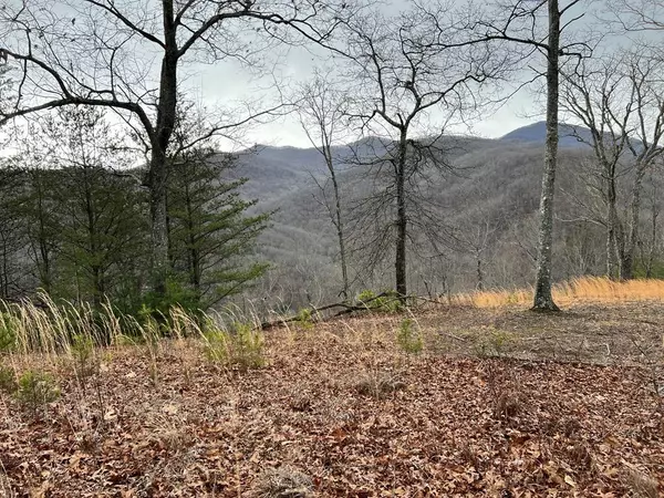 Hayesville, NC 28904,Lot 137 Shiloh Ridge