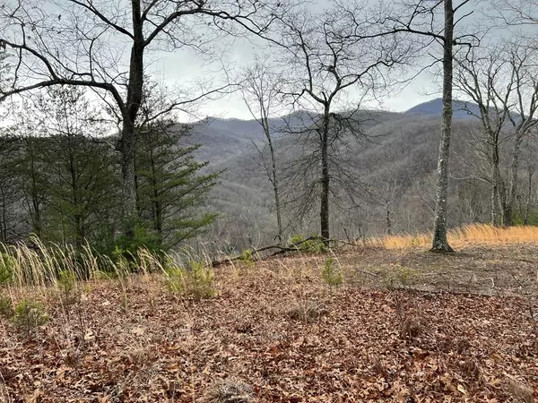 Hayesville, NC 28904,Lot 137 Shiloh