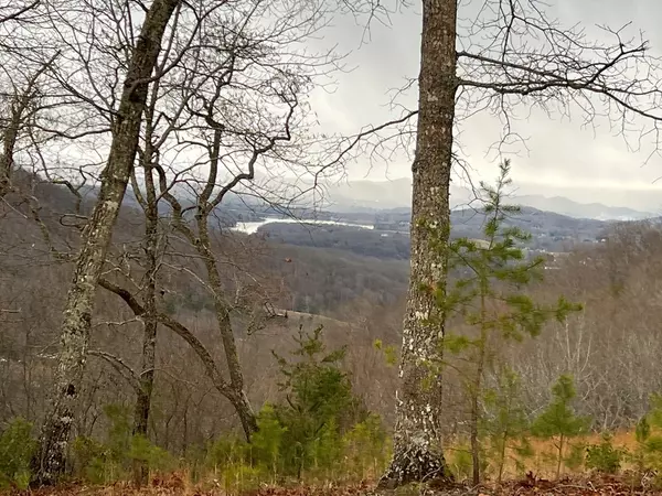 Hayesville, NC 28904,Lot 137 Shiloh