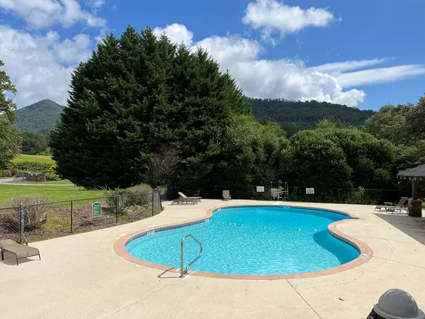 Hayesville, NC 28904,Lot 59C Mountain Harbour