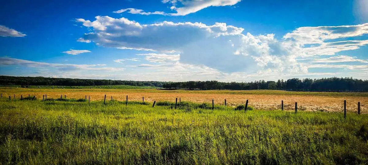 Rural Rocky View County, AB T4C 1A2,32103 Badger RD