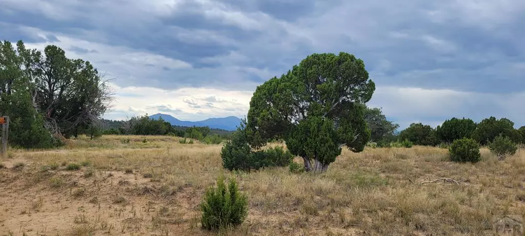 Lot 896 Los Vaqueros Cir., Walsenburg, CO 81089