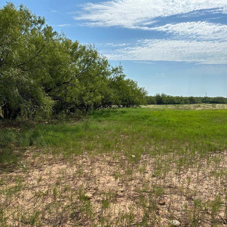 Abilene, TX 79601,Tract 23 CR 105