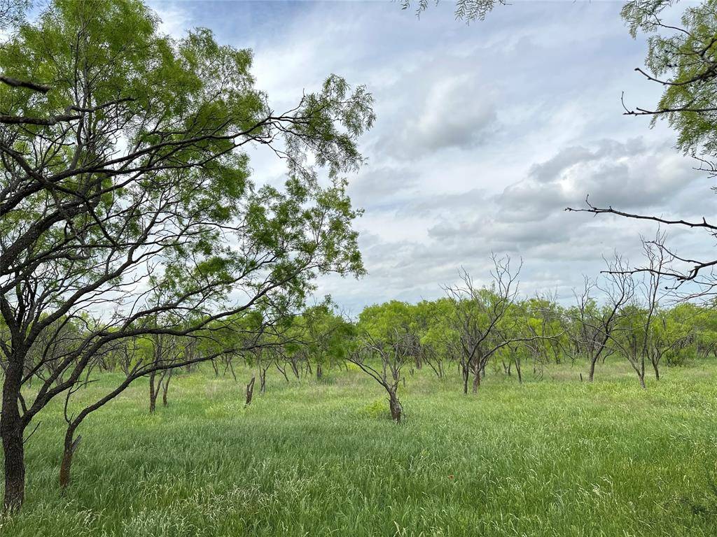 Abilene, TX 79601,TBD County RD 100