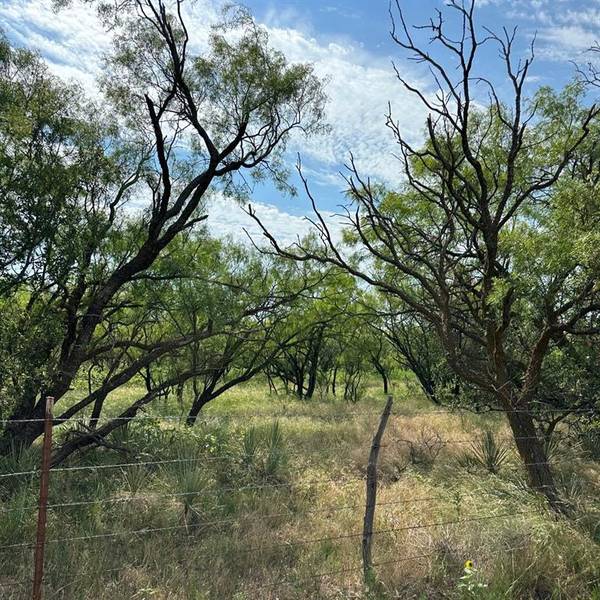 Abilene, TX 79601,Tract 23 CR 105