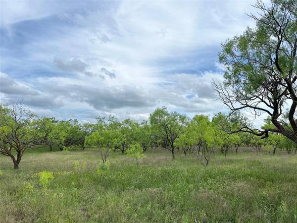 Abilene, TX 79601,TBD County RD 100