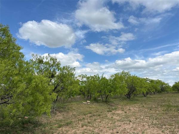 Abilene, TX 79601,TBD County RD 100