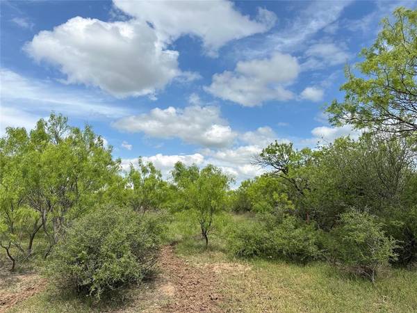 Abilene, TX 79601,TBD County RD 100