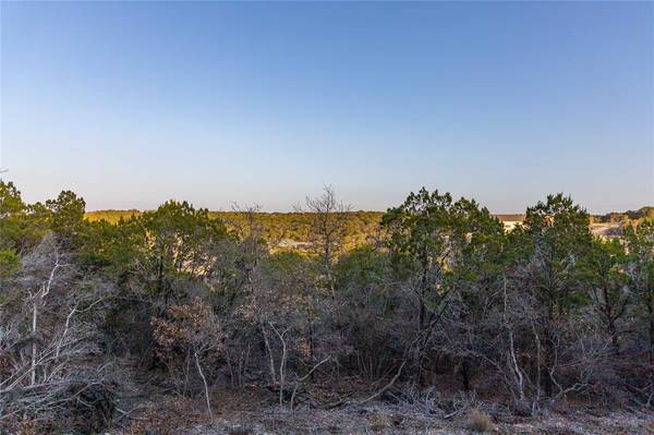 Bluff Dale, TX 76433,4655 Skyline